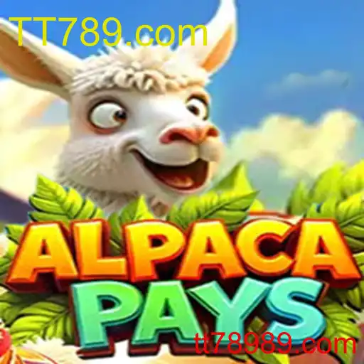 AlpacaPays